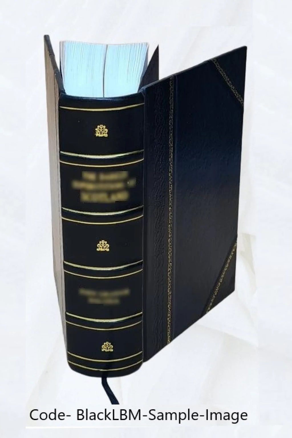 compiled manuscript James with by 1896 History Conn., additions Bound] ; Hill. / Danbury, and by Benedict from 1684-1896 notes left of [Leather Bailey Susan Montgomery
