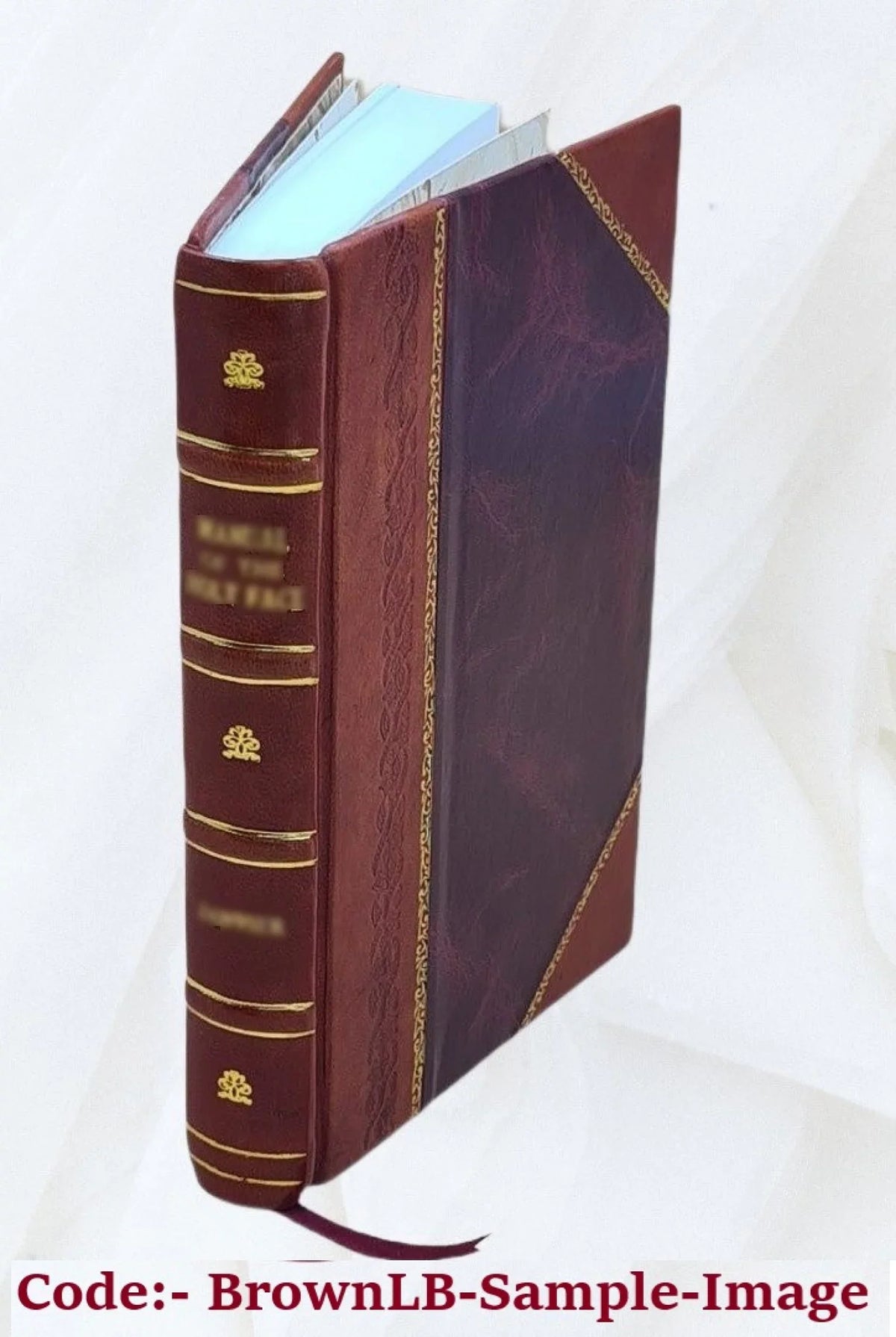 Bound] Cochrane, Baille Alexander chateaux: Fontainebleau, 1877 Blois, / M.P. Historic Vincennes [Leather by