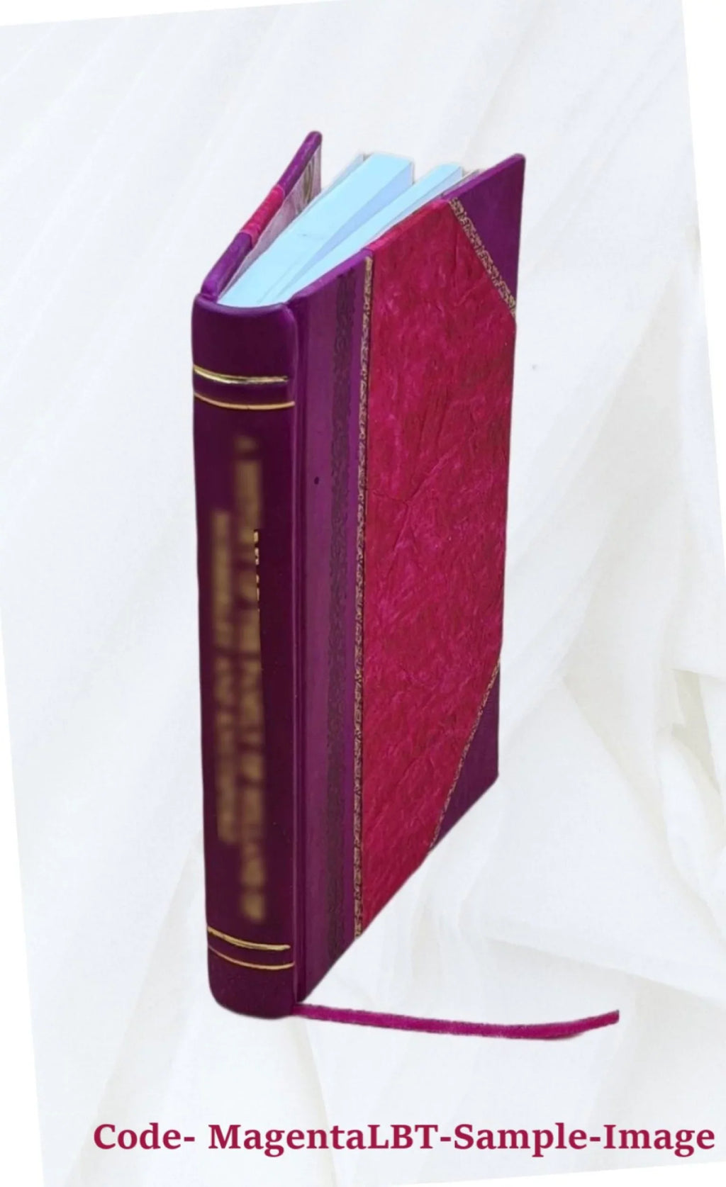 del 1835 delle [Leather Ricci. istoriche Amico arti delle degli marchese Marca della d'Ancona e memorie Bound] Compendio artisti signor /