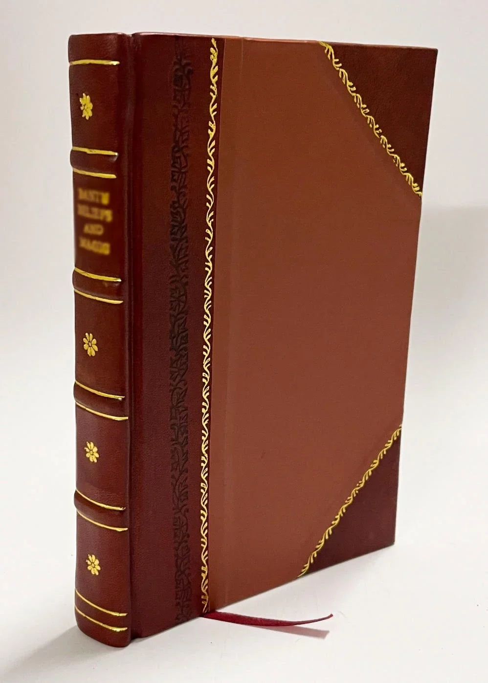 Ritrouano; Castelli, Isole, Al Dissegno Citta, Et Sin Da Col [Leather Fiumi, Venetia Bound] & Si Delle Porti, Ville, Che Sinai; Al Santo Monte Sepolcro, La Monasterij, (1606) Vna Et Viaggio Chiese,