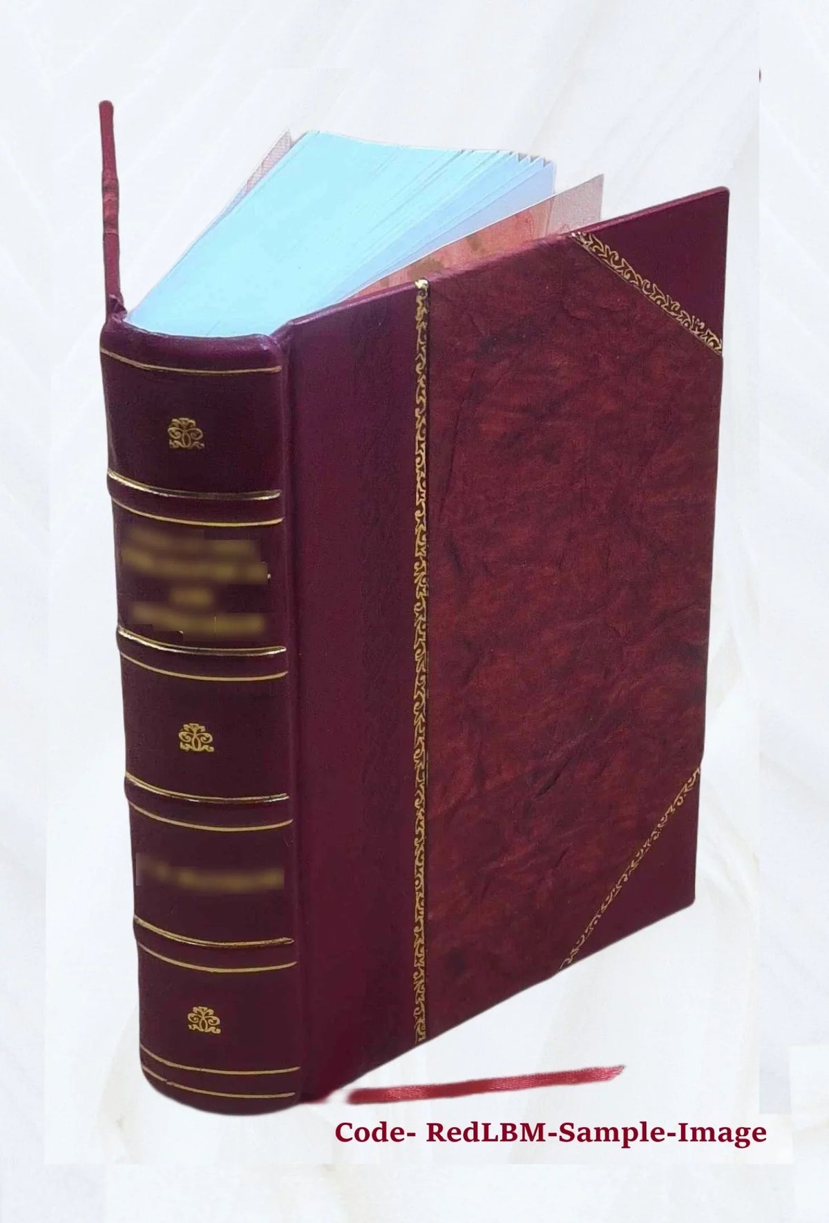 compiled manuscript James with by 1896 History Conn., additions Bound] ; Hill. / Danbury, and by Benedict from 1684-1896 notes left of [Leather Bailey Susan Montgomery